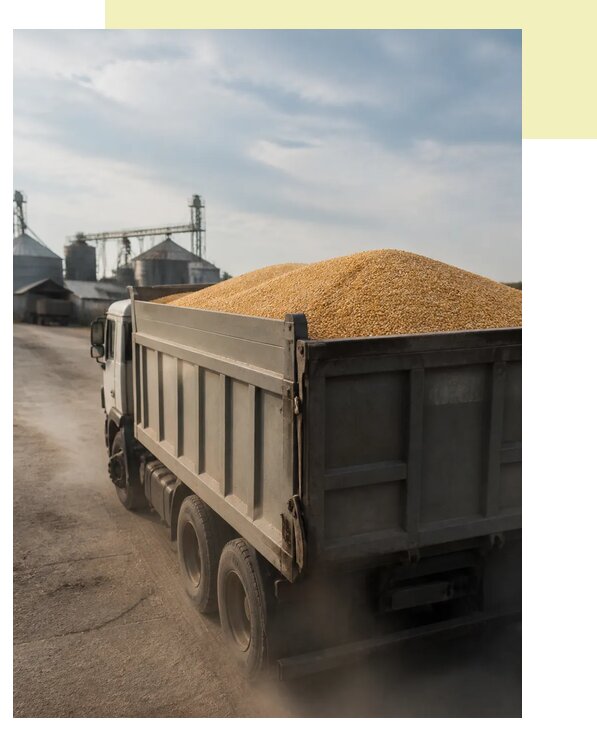 Перевозка сельхозпродукции навалом в Кольчугино по цене от 3051 р. | Агросервис-Кль