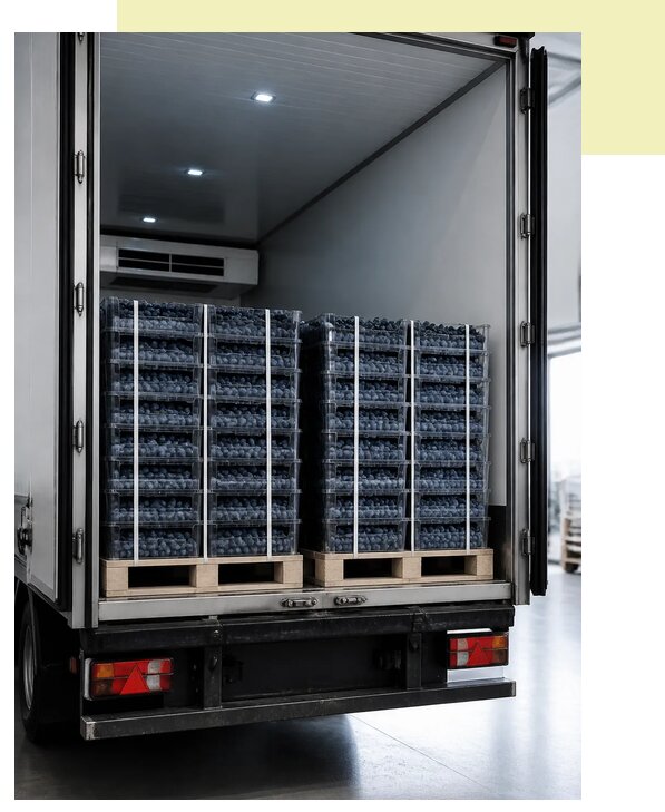 Перевозка голубики рефрижератором в Кольчугино по цене от 5086 р. | Агросервис-Кль